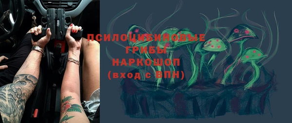 амф Алзамай