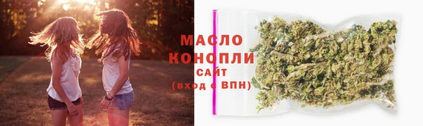 гидра Абаза