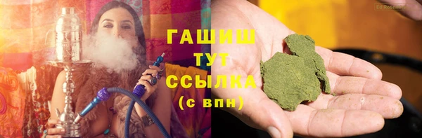 гидра Абаза