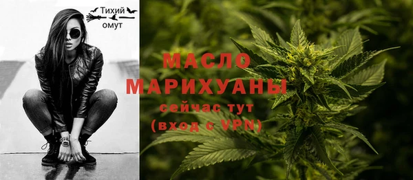 гидра Абаза
