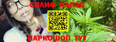 крисы Кинель