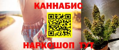 крисы Кинель