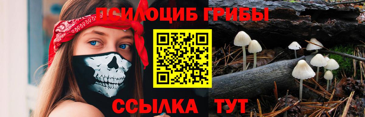 Галлюциногенные грибы MAGIC MUSHROOMS Красноармейск
