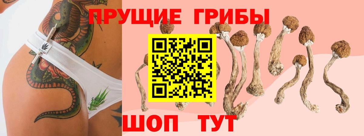 Конопля Красноармейск