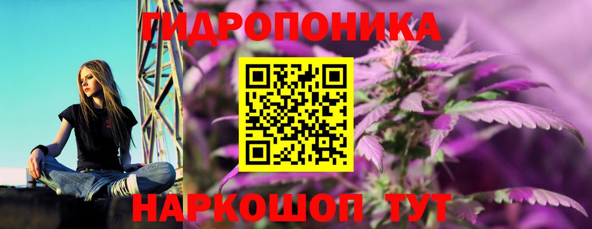 Бошки Шишки конопля  Вход с VPN  Марихуана AK-47  Красноармейск  Конопля марихуана 
